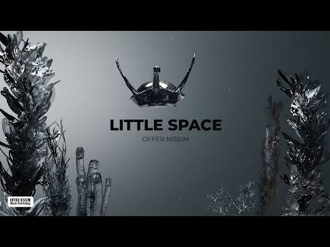 Offer Nissim - Little Space