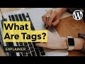 What are Tags in WordPress?