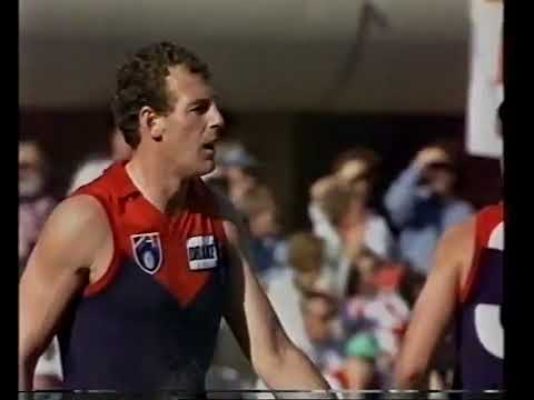 Darren Bennett - Melbourne - 7 goals v Sydney Swans - 1991 Round 15 - SCG - AFL