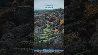 Miniature YouTube : Silence | Musique Lo-Fi pour Voyage Intérieur par Soochrys