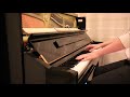 She - Elvis Costello | Piano Cover by Julian Zeger