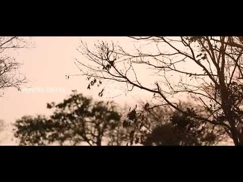 Soy Feliz - Ponchó Zuleta - ( Raíces )