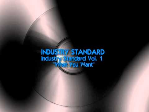 INDUSTRY STANDARD  