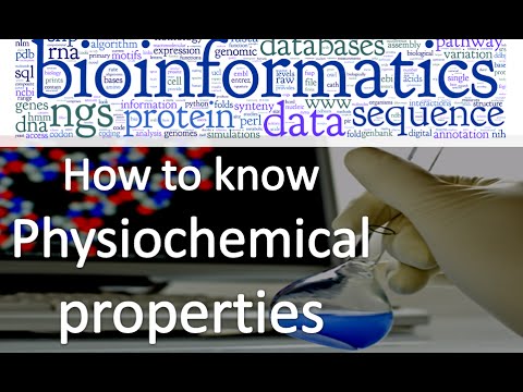 Bioinformatics course 20 how to know the physicochemical properties of a protein