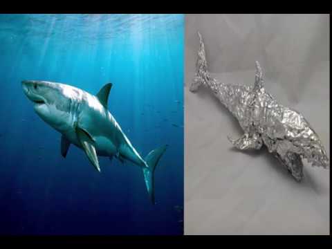 Great White Shark - Aluminum Foil Sculpture