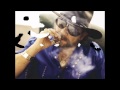 Hank Williams Jr.-I Really Did