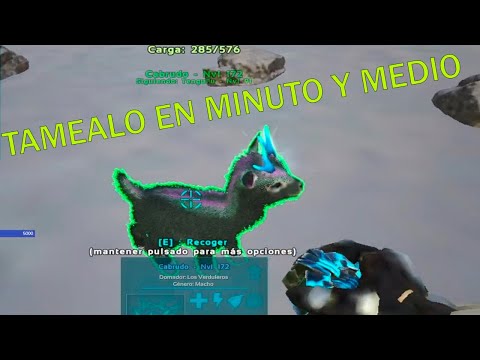 Como Tamear Luminasta (shinehorn) en Fjordur Ark | Tameo en minuto y medio