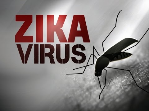 Click to Watch the Zika virus sexually transmitted in first U.S. case video