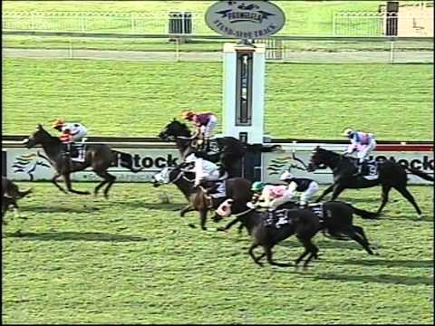 Overarching - Horse Chestnut 1600 (Grade 1)