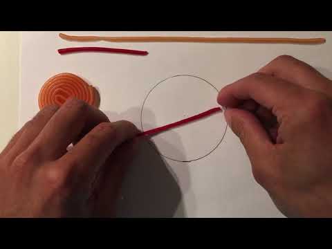 Kreis - Kreiszahl Pi