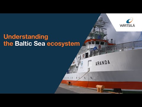 Understanding the Baltic Sea ecosystem | Wärtsilä