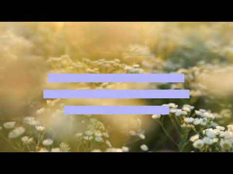 download lagu mp3 mp4 Chamomile Flower Extract Benefits For Skin, download lagu Chamomile Flower Extract Benefits For Skin gratis, unduh video klip Chamomile Flower Extract Benefits For Skin