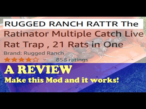 I GOT VICTORY OVER RODENT INFESTATION