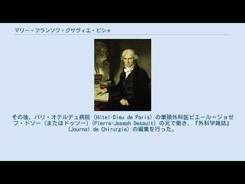 フランソワ=アントワーヌ・ダヴィ・ド・シャヴィニエについて詳しく解説