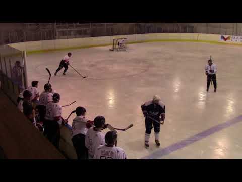 EUHL KMH Budapest-Plsen Akademici 2017.11.12.