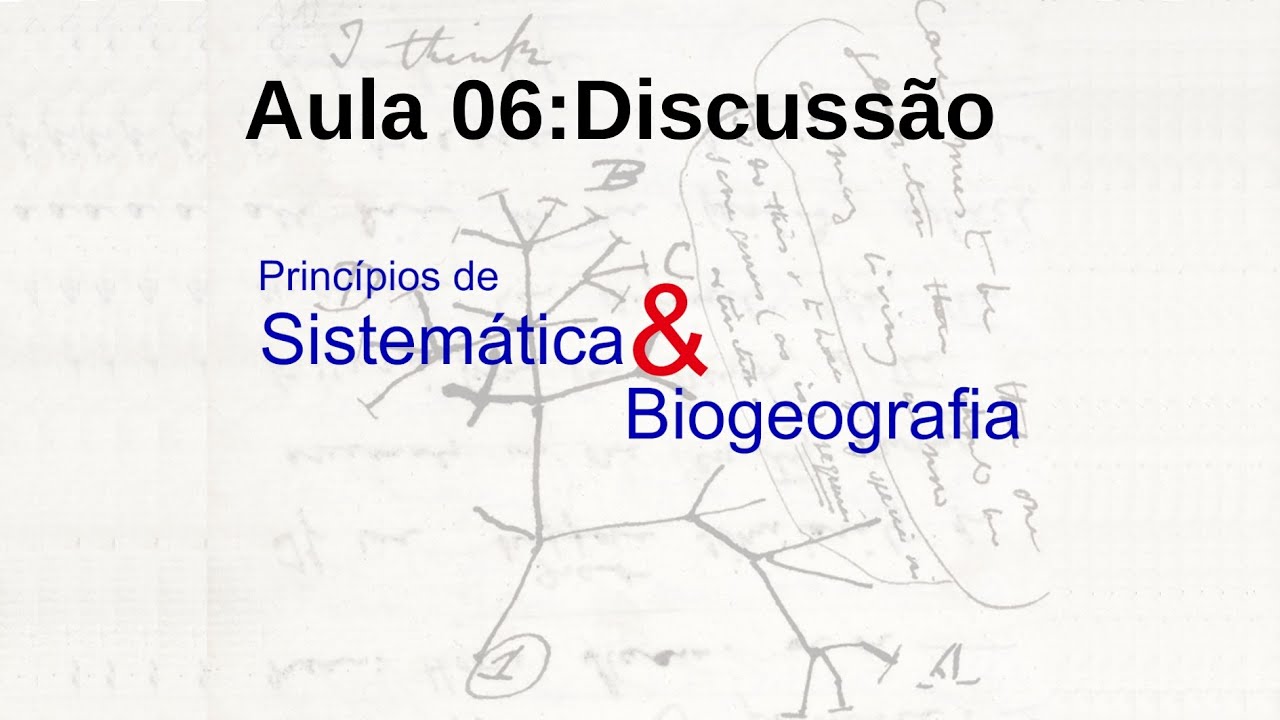 Aula 06: Discussões