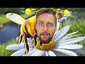 SYMULATOR PSZCZOŁY Który NIE MA SENSU Bee Simulator