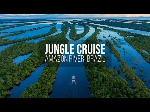 Amazon Rainforest in Brazil - Jungle Cruise on the Amazon River