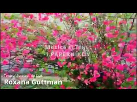 ZOL ZAIN / Yiddish song/ ROXANA GUTTMAN