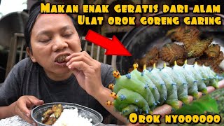 Download lagu COOKING ULAM OROK WITH THE TASTE OF NEWLY CIRCUMCISED SKIN mp3
