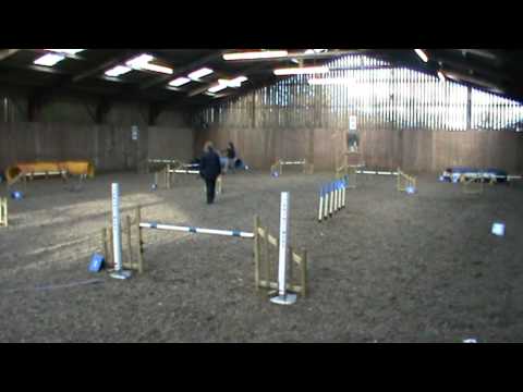 Roseland Match:  Gypsy Jumping