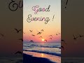 Jimmy Buffett ~ Silver Wings