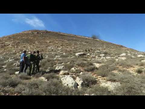 Watch: Arab mob attack Jewish activists