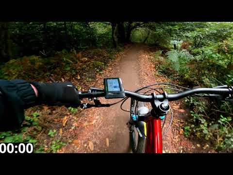 Ragley Big Al Review.......finally! With comparison to the Ragley Big Wig