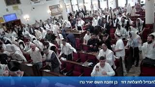 הרב אייל עמרמי - תפילת ראש חודש אדר תשפ"ו (הרב אייל עמרמי) - התמונה מוצגת ישירות מתוך אתר האינטרנט יוטיוב. זכויות היוצרים בתמונה שייכות ליוצרה. קישור קרדיט למקור התוכן נמצא בתוך דף הסרטון