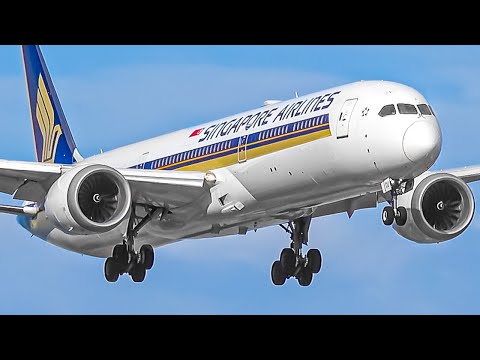 30 MINS of Plane Watching at Adelaide Airport 🇦🇺