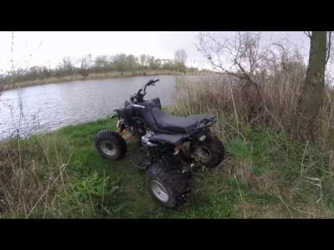 PROJEKT Q 213 BASHAN 250