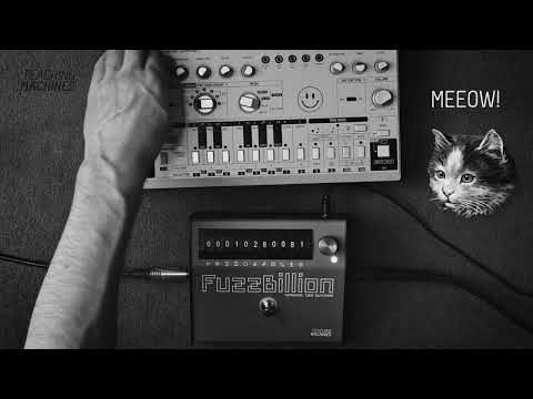 Video ID xaCaTyAZ0ok