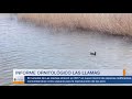 Estudio ornitológico Parque de Las Llamas 2017