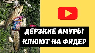 Фидер zemex hi pro super feeder