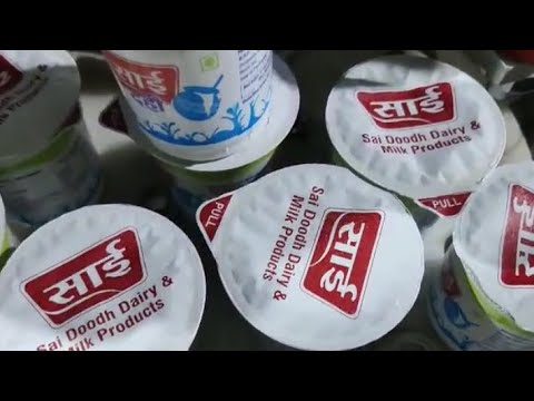 Curd Filling Machine