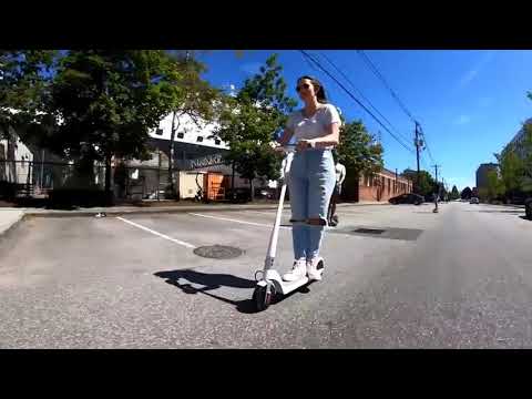 Coolpeds Shark Tank Pitch