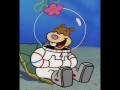 Sandy Cheers