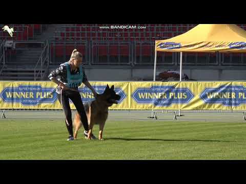 1011 Uvo dell' Alto Ofanto - TSB BSZS-2023