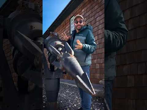 A ARMA usada para CAÇAR BALEIAS!