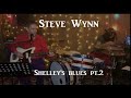 Steve Wynn Shelley's blues pt 2