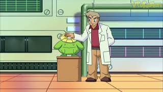 Skiploom attacks Professor Oak | Pokemon quiz