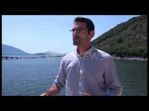 Ora News - I nxehti afrikan po rrezikon zhdukjen e midhjes në Butrint