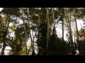 STUNT BIKE Leonardo Gaggioli Secret Spot Rome Italy