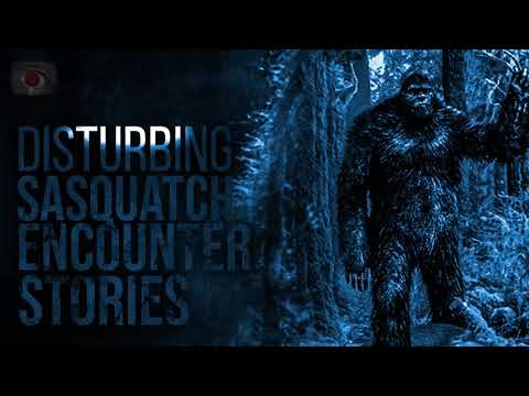 TERROR IN THE MOUNTAINS - SCARY BIGFOOT SIGHTING STORIES