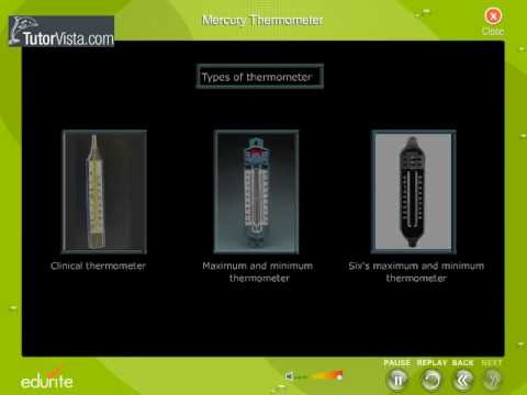 Mercury thermometer