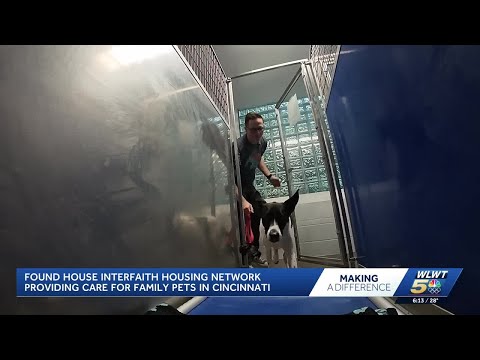 Found House IHN expands capacity with addition of new animal kennels - YouTube