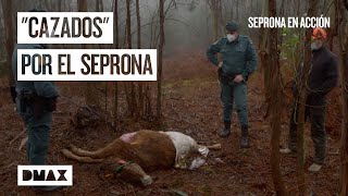 Thumbnail del capítulo