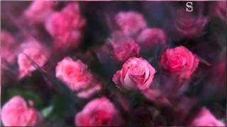 Nate Ruess - Nothing Without Love ☆ʟʏʀɪᴄs☆