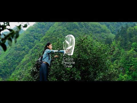 Introducing Grass People Tree - The Untold Story of Tea