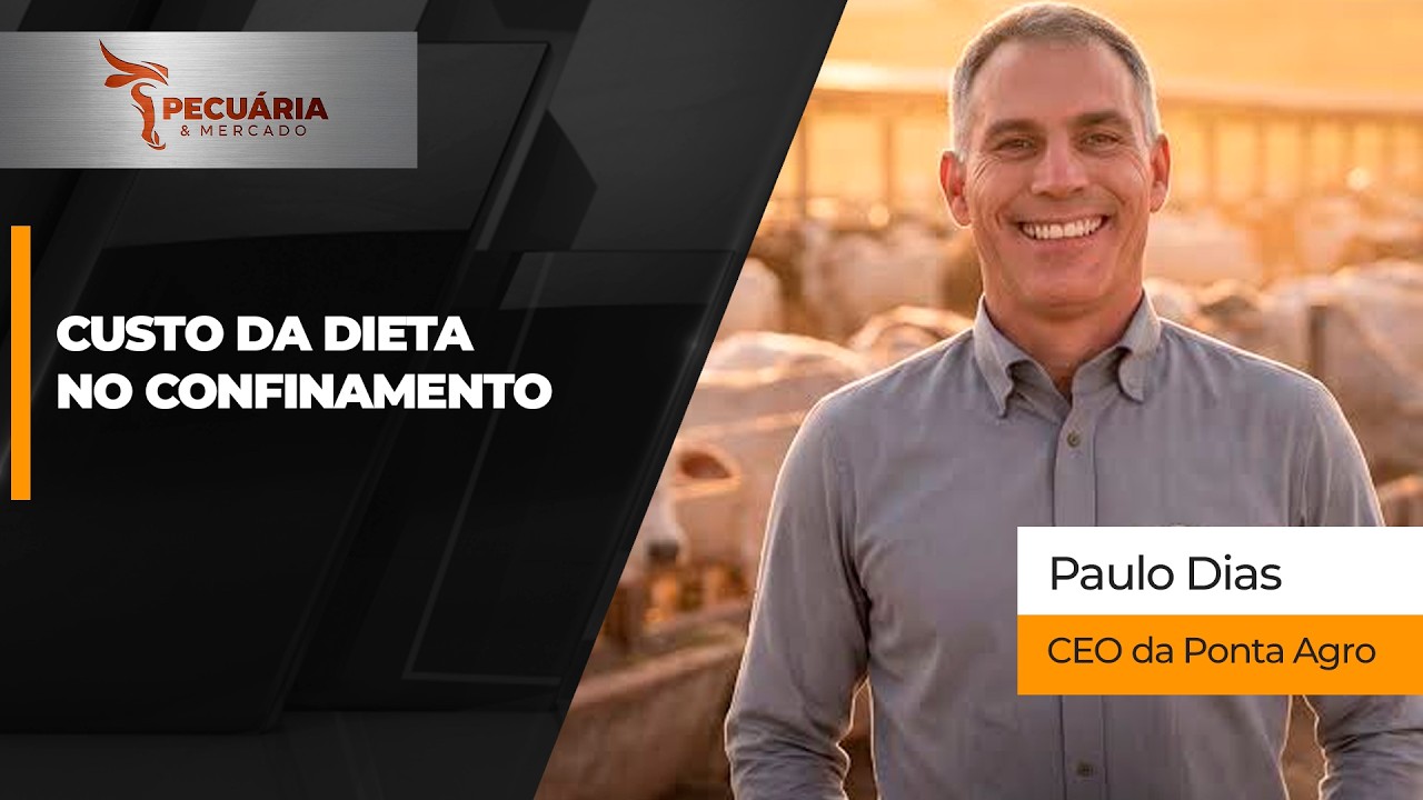 Custo da dieta recua tanto no Centro-Oeste quanto no Sudeste,  mas lucratividade média da arroba...